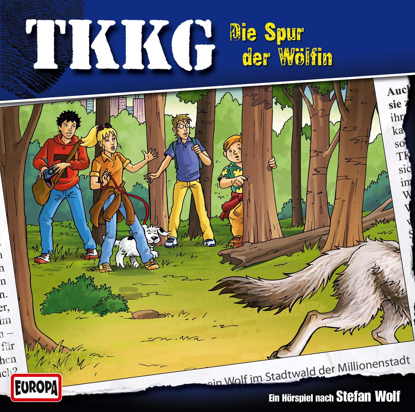 TKKG Hörspiel-Folge 177: Die Spur der Wölfin