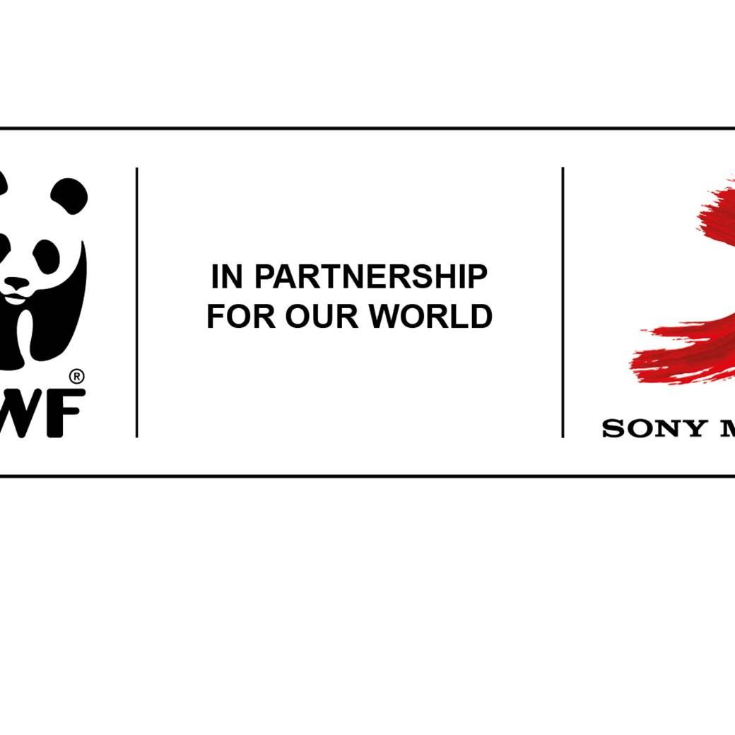 Sony Music UK team up with WWF as official charity partner 2018