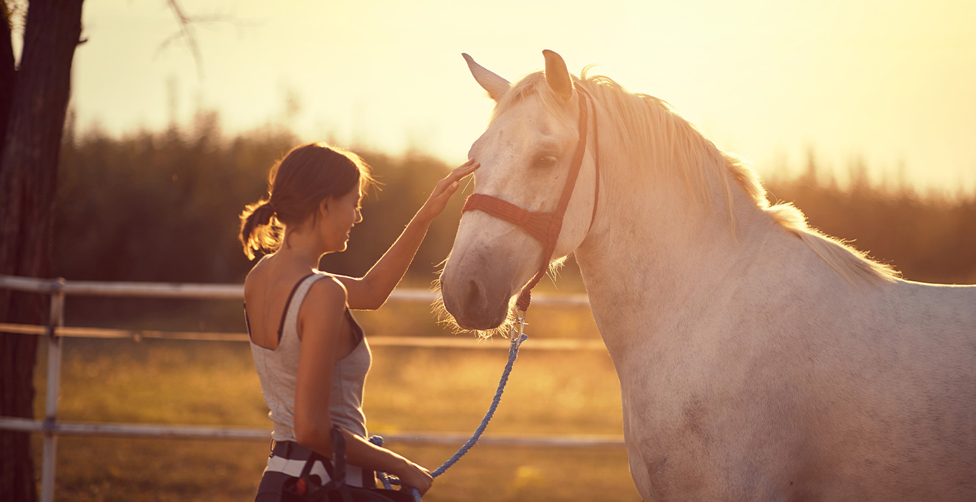 Gelassenheitstraining für dich und dein Pferd