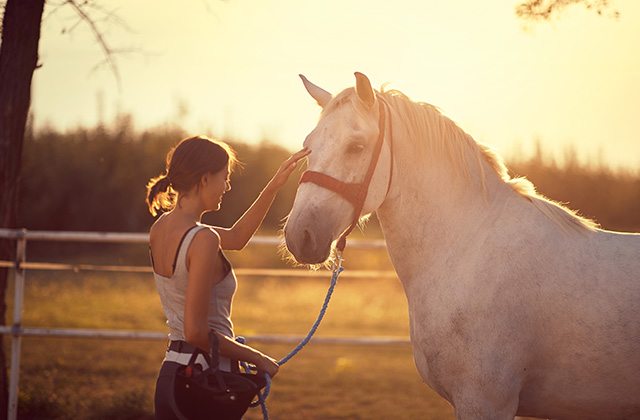 Gelassenheitstraining für dich und dein Pferd