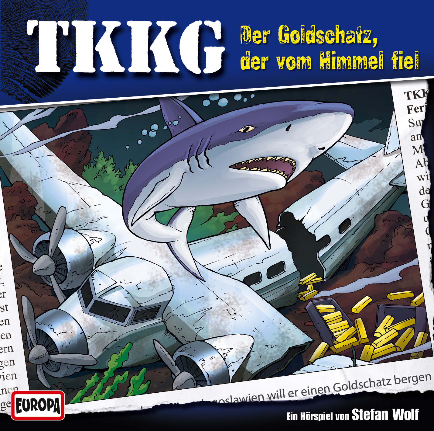 TKKG Hörspiel-Folge 122: Der Goldschatz, der vom Himmel fiel
