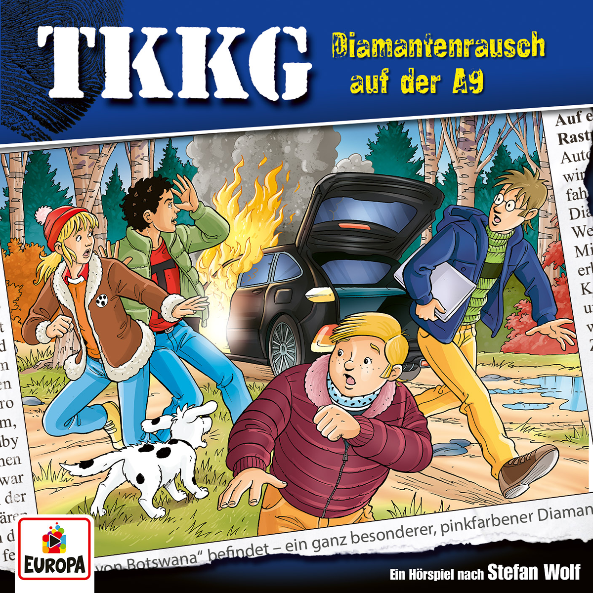 TKKG Hörspiel-Folge 214: Diamantenrausch auf der A9