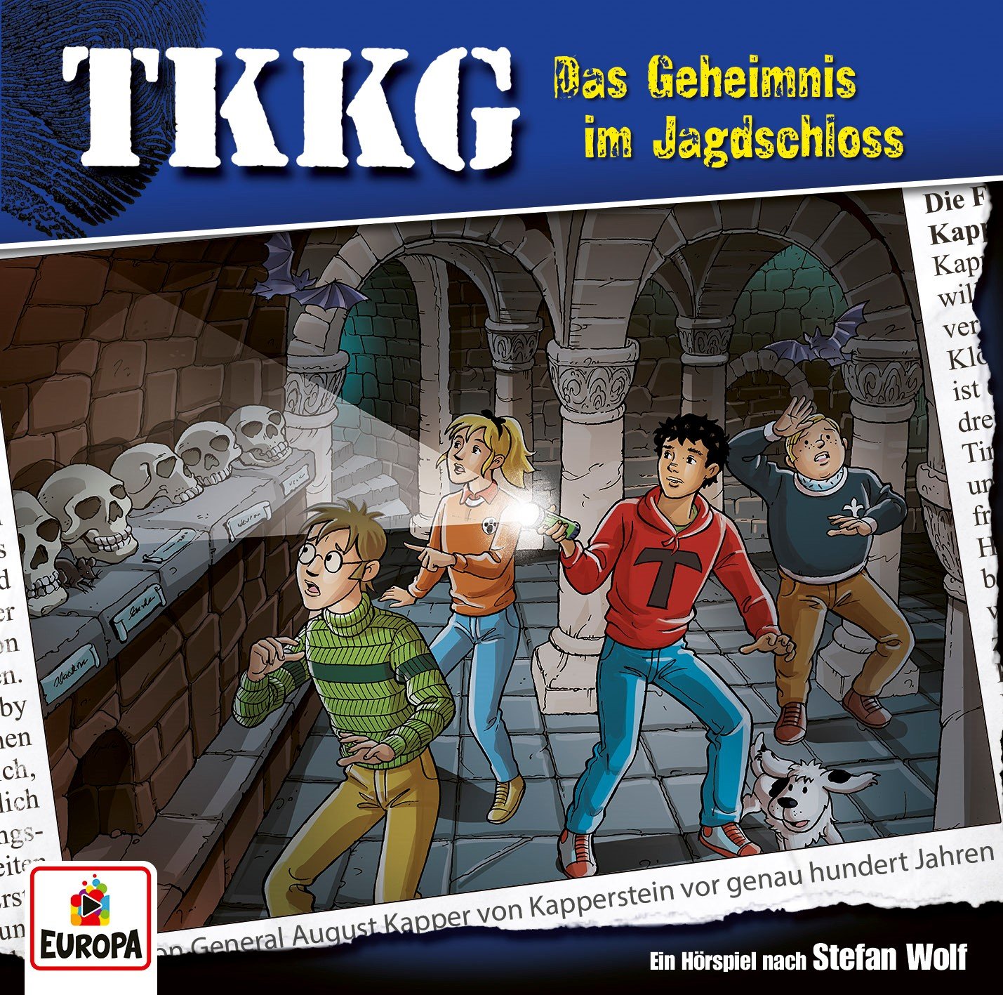 TKKG Hörspiel-Folge 216: Das Geheimnis im Jagdschloss
