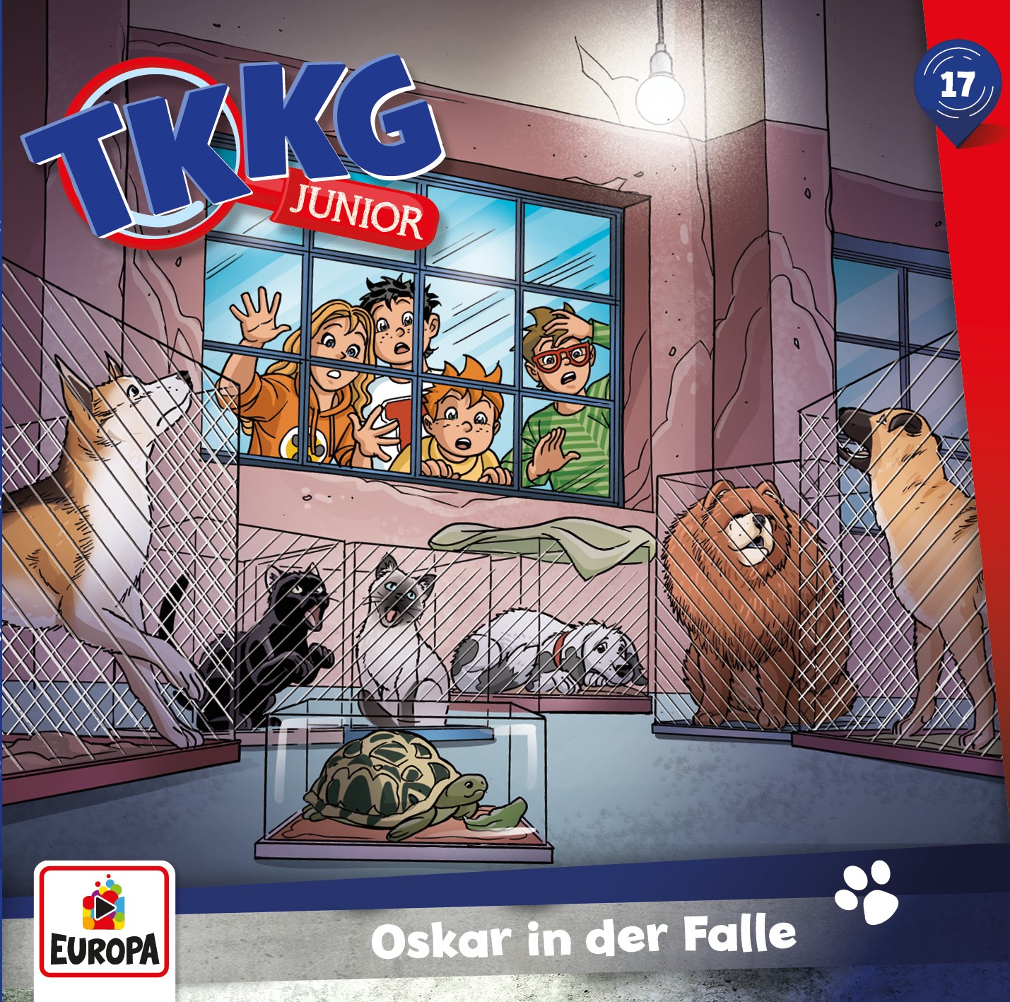 TKKG Junior Hörspiel-Folge 17: Oskar in der Falle