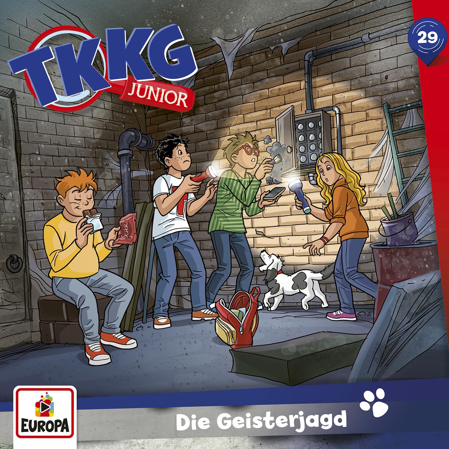 TKKG Junior Hörspiel-Folge 29: Die Geisterjagd