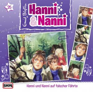 Hanni und Nanni: Hanni & Nanni auf falscher Fährte
