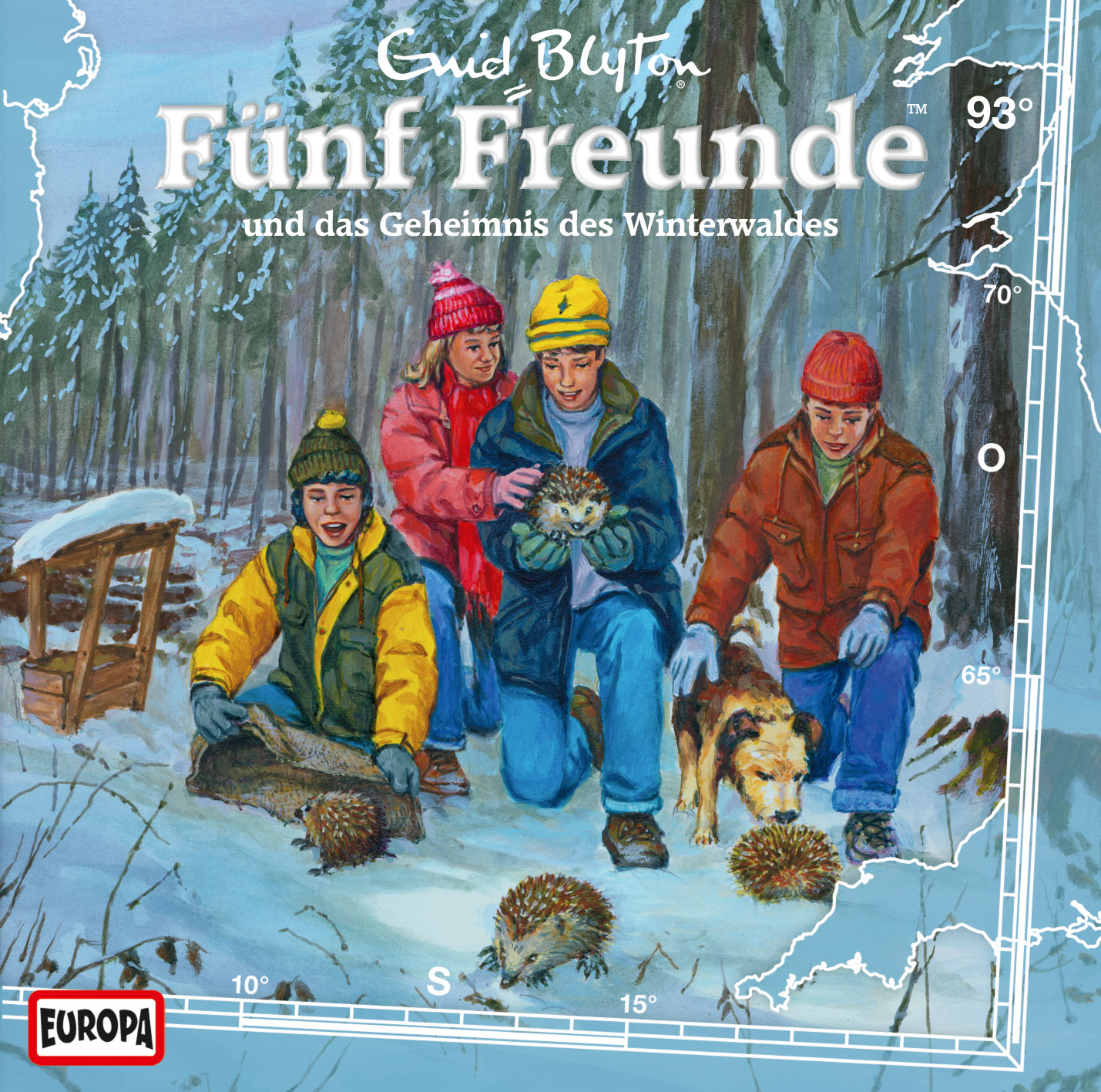 Fünf Freunde - Fünf Freunde und das Geheimnis des Winterwaldes