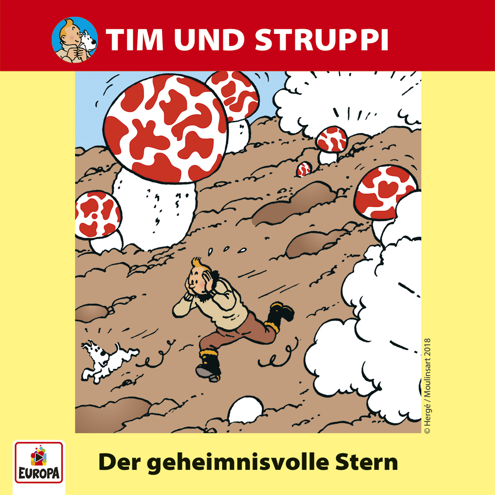 Tim & Struppi - Der geheimnisvolle Stern