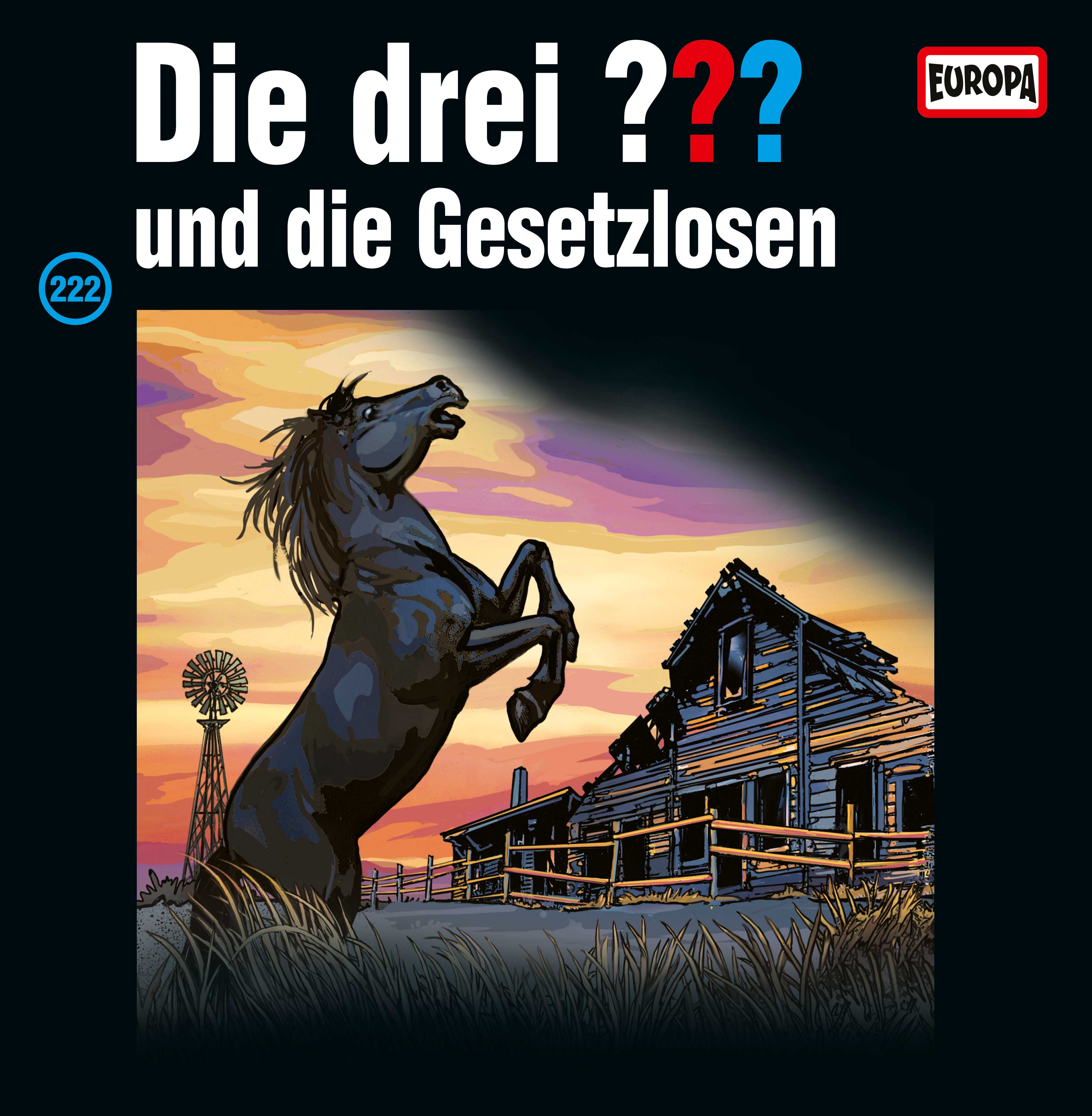 Die Drei ??? (Fragezeichen), Vinyl-Folge 222: Die Gesetzlosen (Vinyl) 