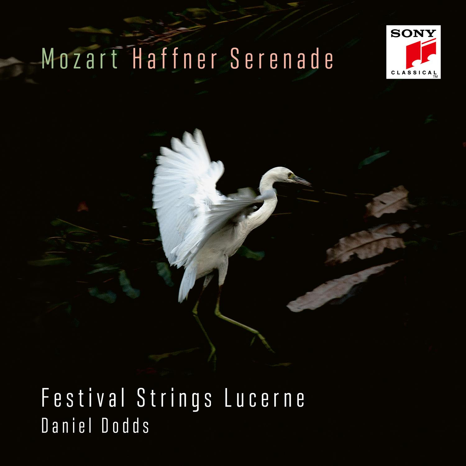 Festival Strings Lucerne Album Cover