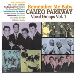 Remember Me Baby &#8211; Cameo Parkway Vocal Groups Vol. 1