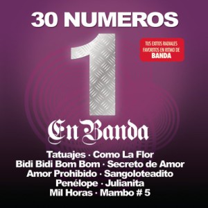 30 Numero 1 En Banda (2 CD)