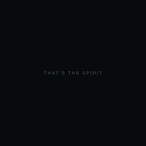 That&#8217;s The Spirit (Limited Edition Deluxe Box)