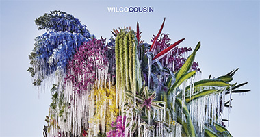 Wilco&#8217;s New Album, &#8216;Cousin,&#8217; Out Now!