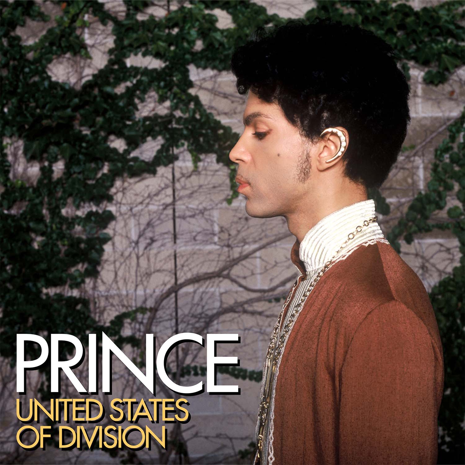 Prince ‘United States Of Division’ Released To Celebrate 20th Anniversary Of 2004 Album ‘Musicology’