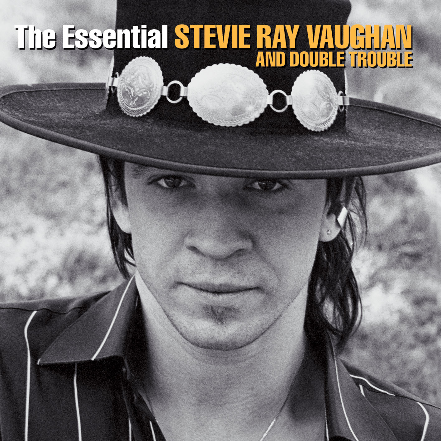 The Essential Stevie Ray Vaughan And Double Trouble