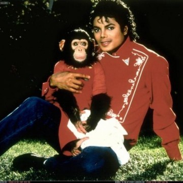 With Bubbles the chimp