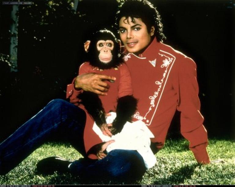 With Bubbles the chimp