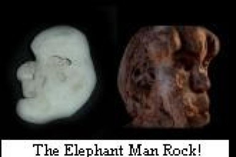The Elephant Man Rock!