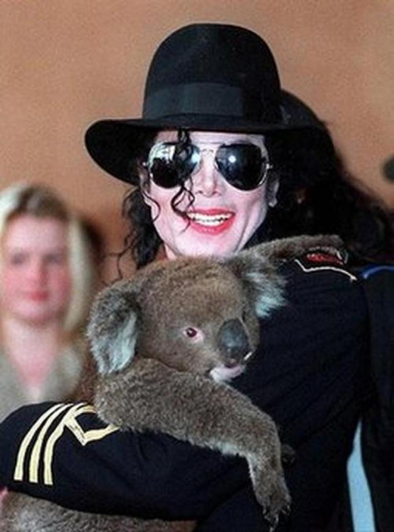 Michael and koalas – cute and cuddly