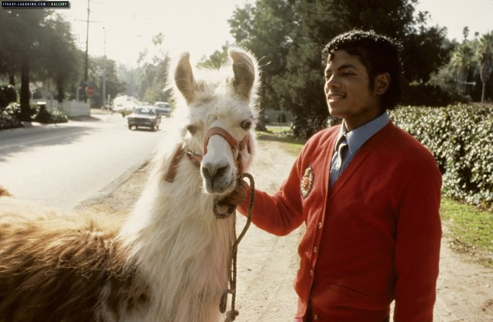 Michael Jackson and the llama Louis