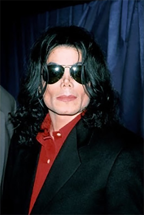 What Year Did The Michael Jackson Book Club Launch?