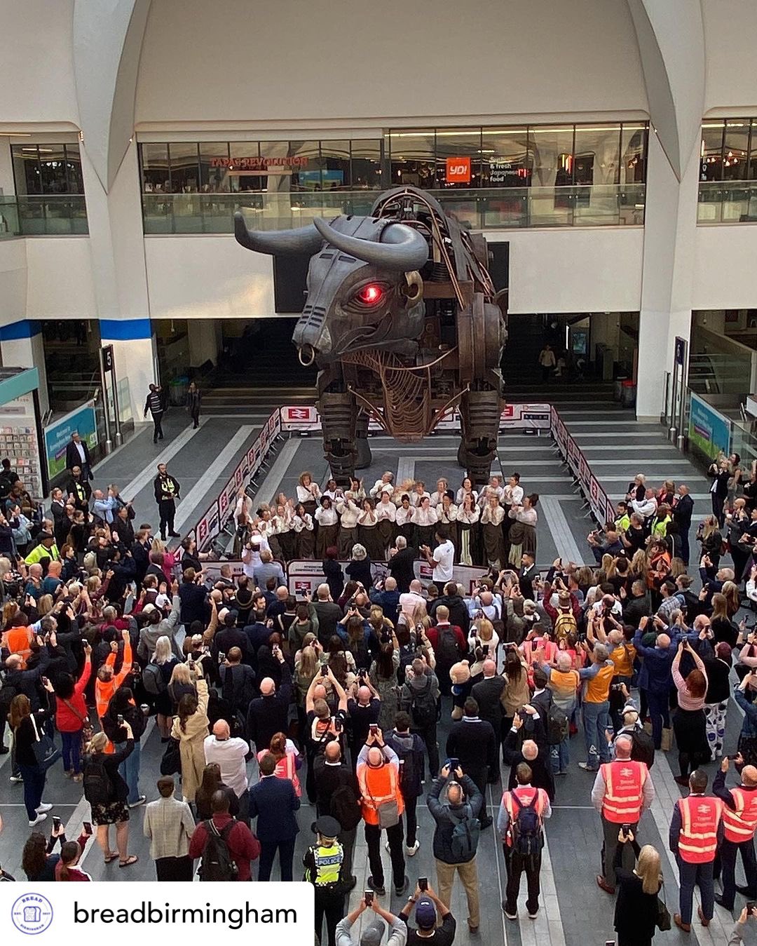 Ozzy yhe Bull unveiled in Birmingham photo