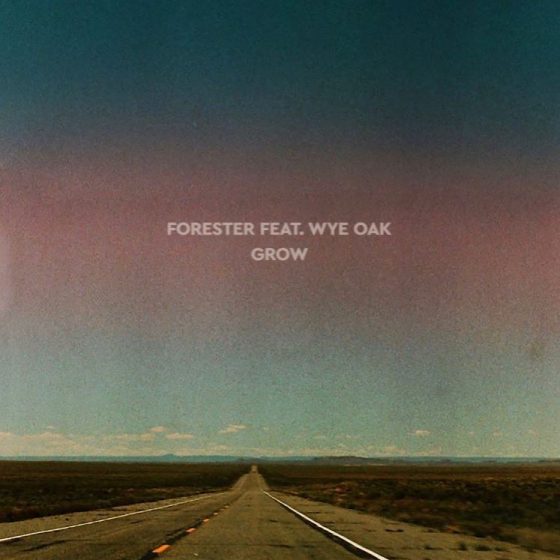 Grow (feat.Wye Oak)
