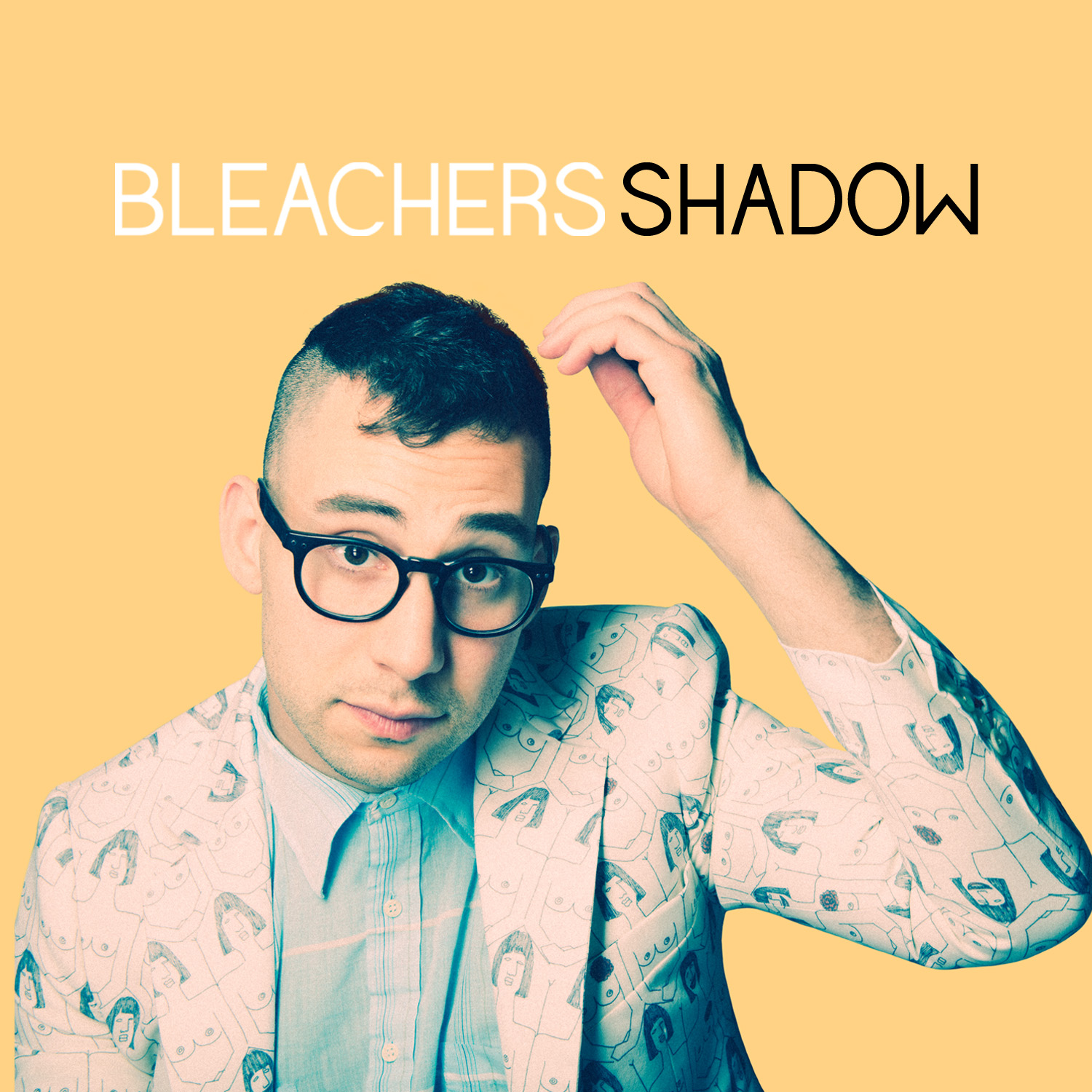 Bleacher_Shadow_Cover