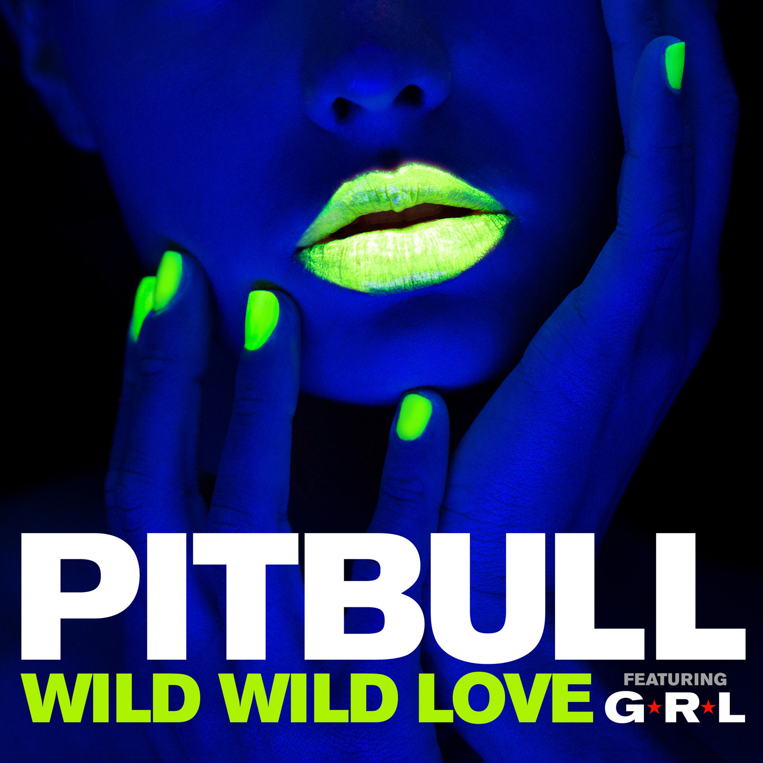 Pitbull_Wild_Wild_Final300