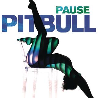 Pitbull_Pause