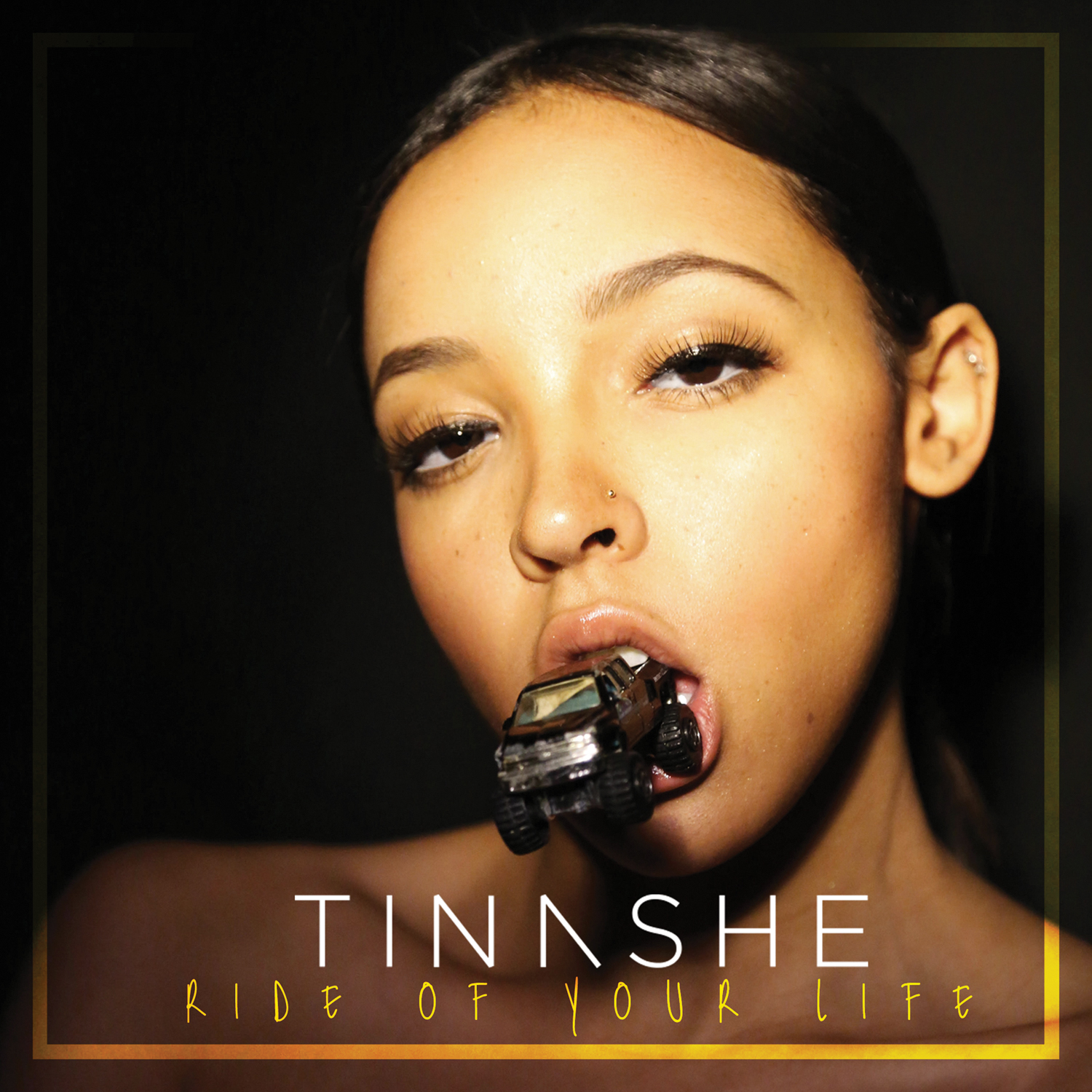 Tinashe Ride Of Your Life[1]