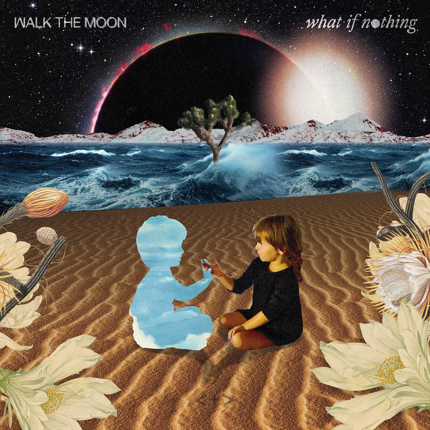 walk the moon album covers