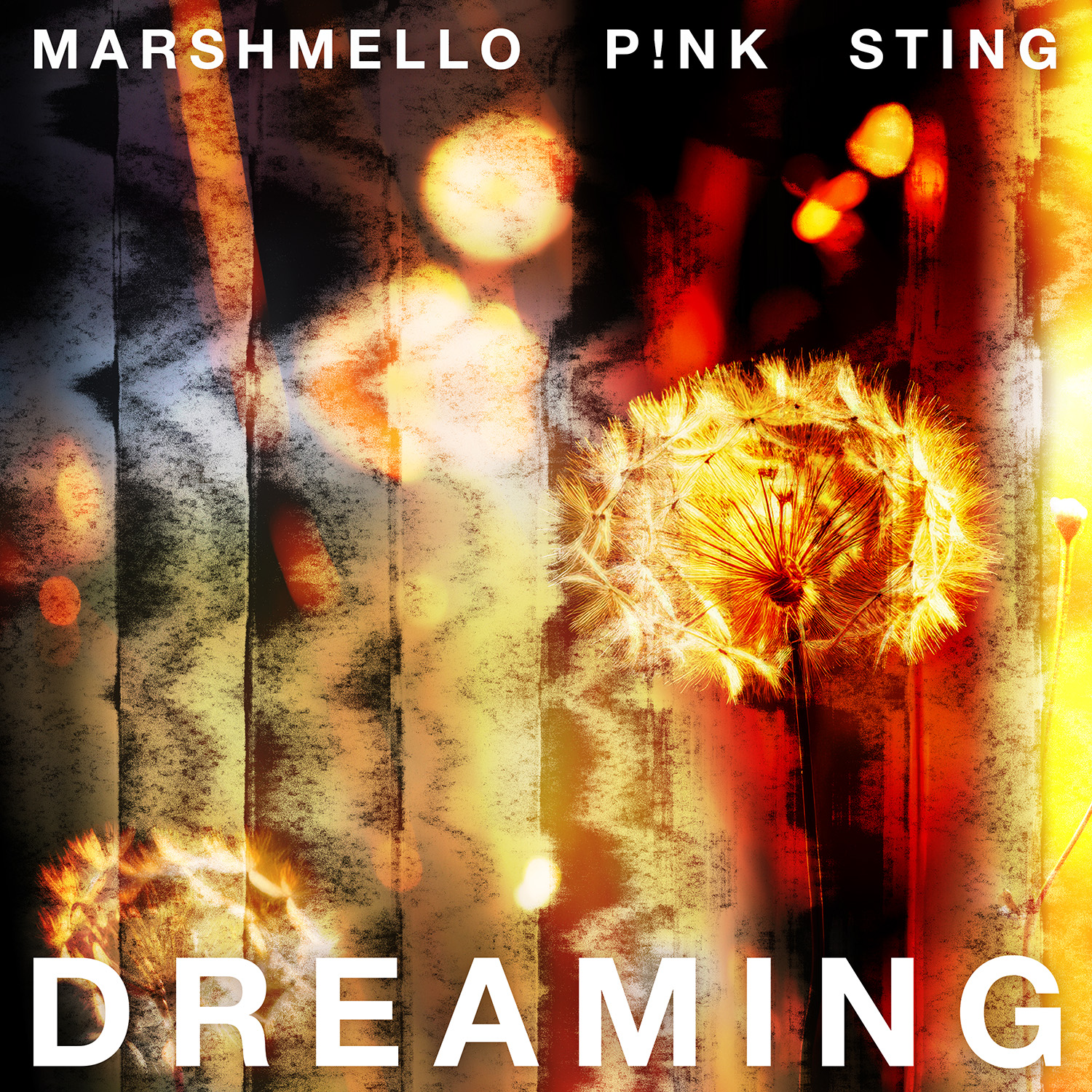 Dreaming_Marshmello_PNK_STING_1500px_RGB_V2