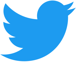 2021 Twitter logo – blue