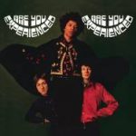 The Jimi Hendrix Experience / Are You Experienced (2LP)