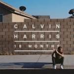Calvin Harris / 18 Months (Vinyl)