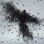 Aimer / Black Bird / Tiny Dancers / Omoideha Kireide