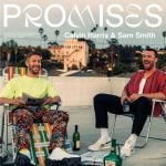 Calvin Harris x Sam Smith / Promises (Vinyl)