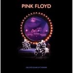Pink Floyd / Delicate Sound of Thunder (Vinyl)