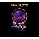 Pink Floyd / Delicate Sound of Thunder (2CD)