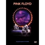Pink Floyd / Delicate Sound of Thunder (DVD)