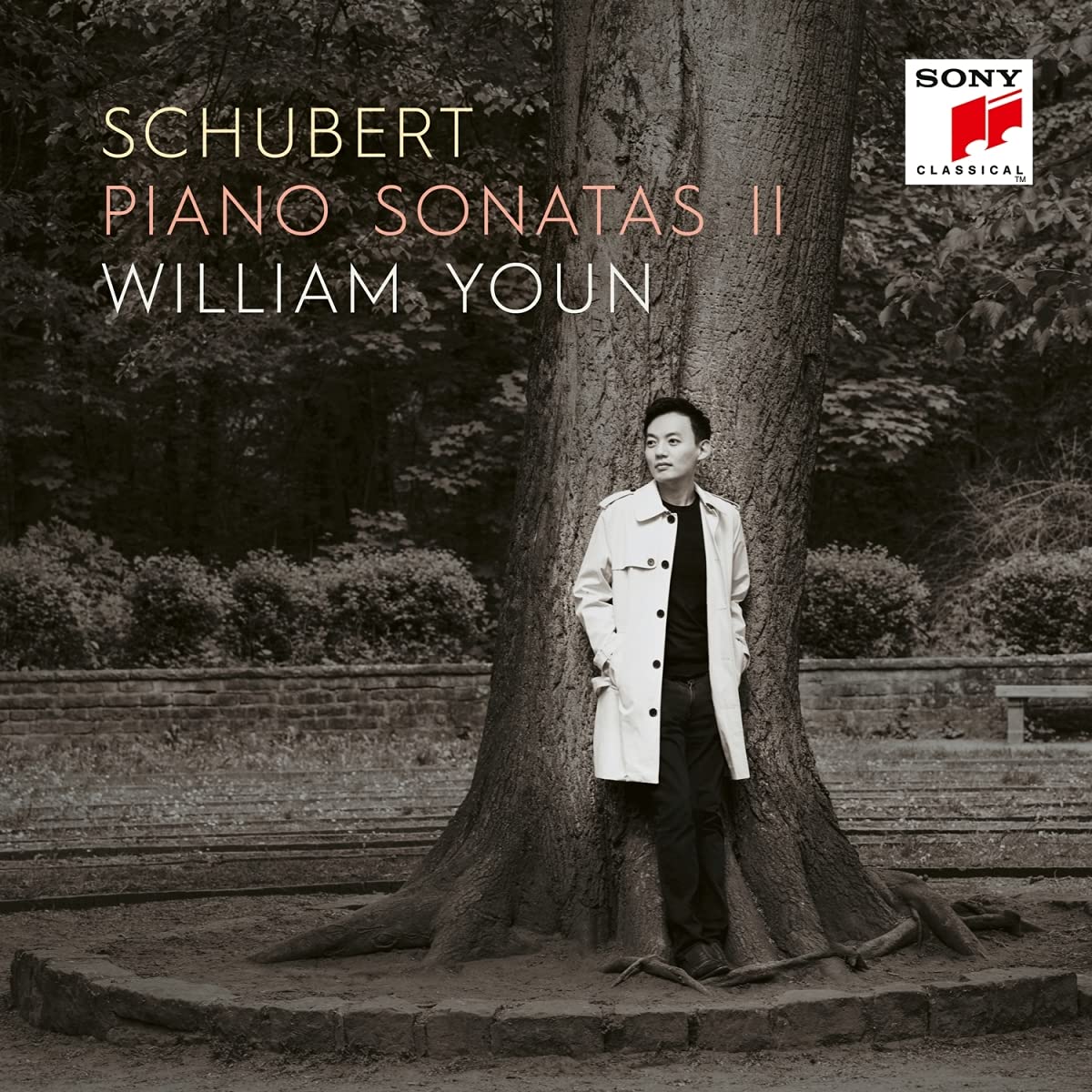 William Youn / Schubert: Piano Sonatas II (2CD) - 台灣索尼音樂娛樂