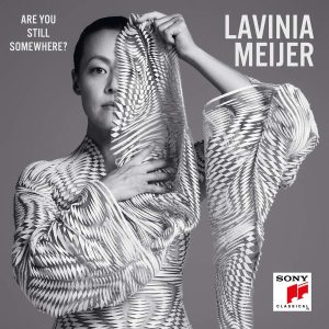 Lavinia Meijer / Are You Still Somewhere?