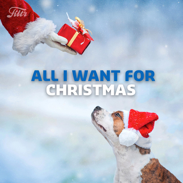 All I Want for Christmas Is You + More Christmas Songs